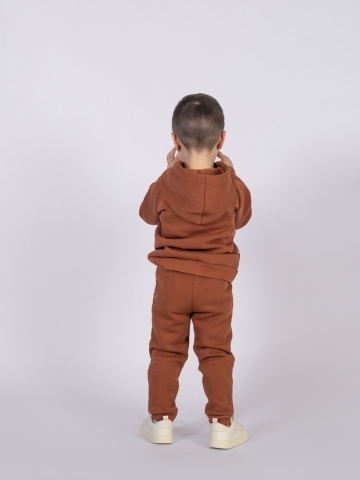 296-ТР. Свитшот с капюшоном  + Штаны, хлопок 65%, 35% ПЭ, 3-х нитка (начес) терракот  98,104,110,116